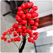 上海三祁科技有限公司